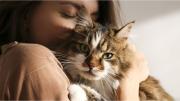 ¿Los gatos pueden entender a los humanos? Los expertos revelaron la verdad sobre el vínculo felino