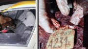 Llamó la atención por la puerta trasera abierta y manchas de sangre