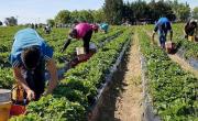 Agricultura Familiar en Marcha: PBA lanzó la cuarto edición que otorga financiamiento y asistencia técnica