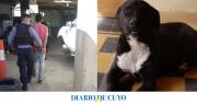 Golpeó y ahorcó a su perro y la Justicia lo obligó a trabajar en una guardería de animales