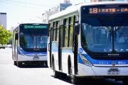 Habilitaron pagos con tarjeta y celular en más líneas de colectivos: ¡Neuquén entre las ciudades que se suman!