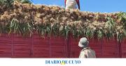 Los ajeros sanjuaninos celebran una medida de Nación y dicen que favorecerá el mercardo