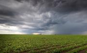 Abundantes lluvias y temperaturas elevadas para la época, marcan el clima inusual en el norte bonaerense y el Litoral