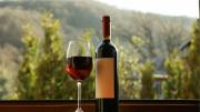 Quebranta: la única uva autóctona responsable del mejor vino del Perú