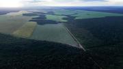 Brasil se prepara para COP30 con mirada en la agroindustria