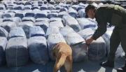 Narcotráfico: Las toneladas de hojas de coca incautada despiertan alarmas