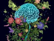 Cómo la educación transforma el cerebro y modifica la forma de pensar, según la ciencia