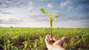 El potencial de la cadena agroindustrial: subir 74% exportaciones, 10% el PBI y u$s5.000 millones la recaudación