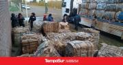 Río Gallegos, una ciudad donde cada vez se recicla más