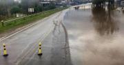 Inundaciones: pérdidas millonarias de soja, maíz y ganado, ¿qué impactos tendrá en precios y dólares?