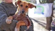 Adopciones Quilmes lanzó rifa para hacer frente a una importante deuda