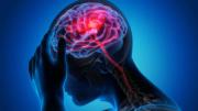 La vitamina que es un tesoro para el cerebro y previene enfermedades cognitivas, según Harvard