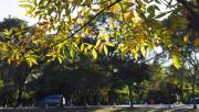 El tiempo en Tucumán: el cielo se mantendrá cubierto y la temperatura bajará unos grados