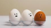 ¿Es mejor usar huevos blancos o marrones?