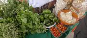 Campesinos de Tarija expresan preocupación por el alza en fertilizantes y abarrotes
