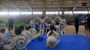 La Asociación Taekwondo Sur de Roca mostró su nivel en el Campeonato Provincial