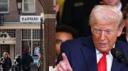El ataque de Donald Trump contra Harvard que afecta a decenas de argentinos