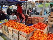 Productores de Tarija no permitirán que la caja de tomate se venda a menos de Bs. 50