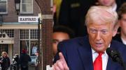 El ataque de Donald Trump contra Harvard que afecta a decenas de argentinos