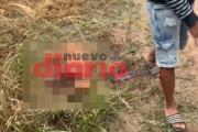 Video: denuncian a un hombre por degollar a su perro con un cuchillo