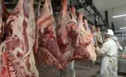 Producción de carne vacuna estancada en Argentina por factores estructurales y climáticos