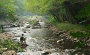 Tiene toneladas de oro: descubrieron un río con un tesoro invaluable que le pertenece a un solo país
