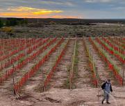 Patritti y una nueva oportunidad para producir vinos