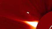 Observan cerca del Sol un pájaro de fuego más grande que la Tierra