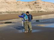 Mar Patagoniano: el hallazgo fósil que mostró los seres que habitaron bajo el agua hace millones de años