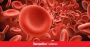 Se detectan más de 30 casos de cáncer de la sangre por día en la Argentina