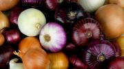 ¿Sabías que existen más de 5 tipos de cebolla?: para qué se usa cada una