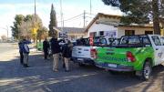 Golpe a la caza furtiva en Vaca Muerta: secuestraron armas y ejemplares de choiques