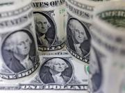 El dólar se despierta y toca el precio más alto en 15 días