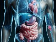 Cuáles son los síntomas de los problemas gastrointestinales
