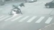 Como de película: un caballo suelto atropelló a una motociclista