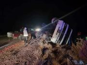 Impactante vuelco de un camión en la Ruta 151: llevaba camionetas al Alto Valle, cómo está el chofer