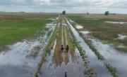 Declaran emergencia agropecuaria en 25 de Mayo, Saladillo y Roque Pérez