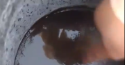 Video: en un balde, el agua quedó congelada por la ola polar en San Juan