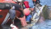 Una embarcación con 150 migrantes volcó en las Canarias: hay siete muertos y un bebé desaparecido