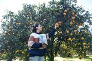 Una finca apuesta por productos sin veneno y bolsas sin plástico