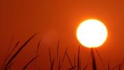 Calentamiento global: en el mes de mayo las temperaturas fueron 4 °C por encima de lo normal
