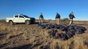 ¡Tremendo! Llevaba 1500 kilos de carne de guanaco en la caja de la camioneta: fue atrapado en Chubut