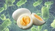¿Cuál es el tiempo exacto que debes hervir los huevos para matar la Salmonella?