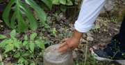 Pasó la época preferida de los mosquitos y bajó el riesgo de dengue en San Juan: ¿cuántos casos hubo esta temporada?