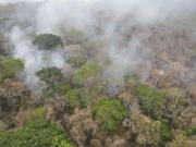 Defensoría alerta inacción ante riesgo de más incendios forestales