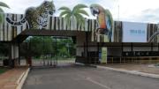Cerraron el zoológico de Brasilia ante la presencia de casos sospechosos de gripe aviar