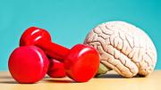 Este popular alimento mejora la memoria y activa el cerebro si lo comés todos los días