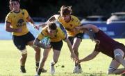 Los Tilos sigue en la senda del triunfo y cayeron La Plata y San Luis