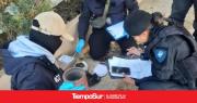 Policía Federal secuestra una encomienda con droga