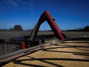 El campo liquidó más de US$ 3.000 millones el mes pasado: un 21% más que en abril